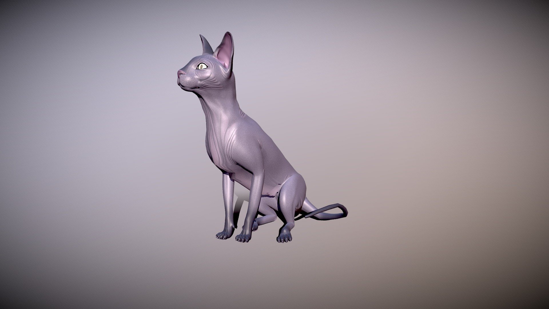 sphynx cat 3d model