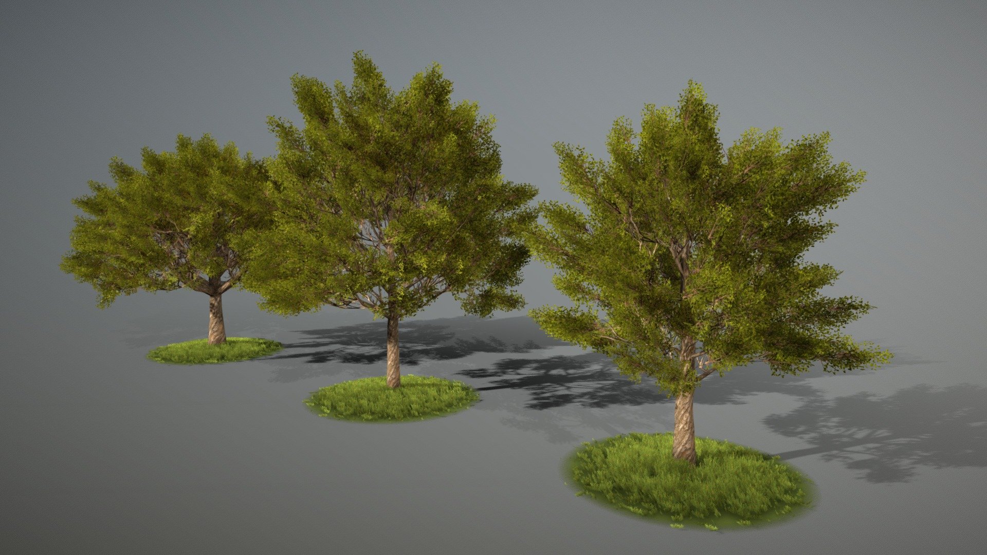 Tree wind system 3d model