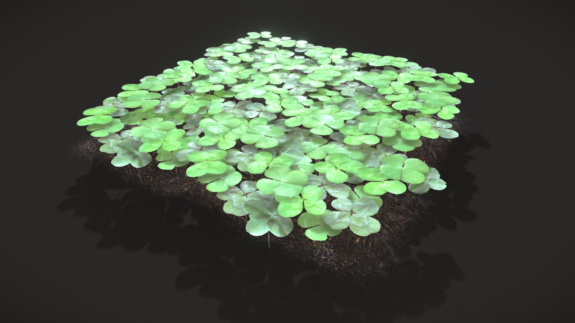 Four_Leaf_Clover_Patch 3d model