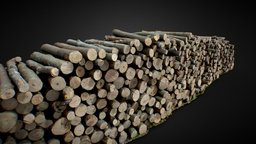 Wood Log Pile Large 3D Scan