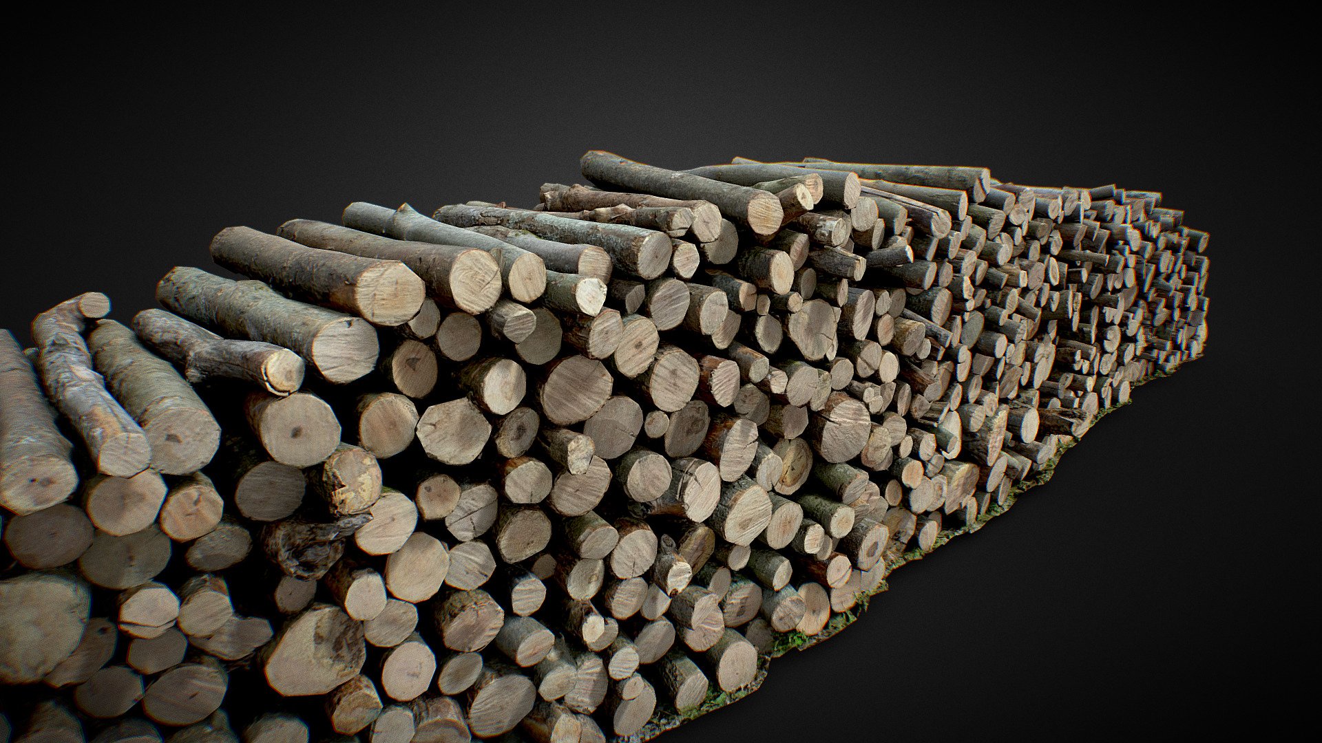 Wood Log Pile Large 3D Scan 3d model