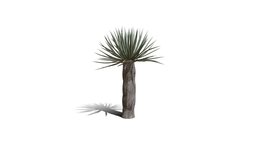 Realistic HD Dragon tree (41/50)