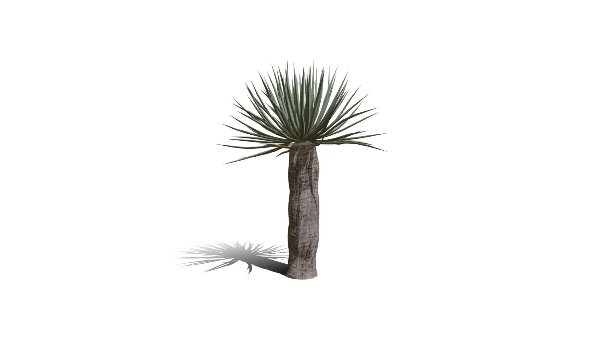 Realistic HD Dragon tree (41/50) 3d model