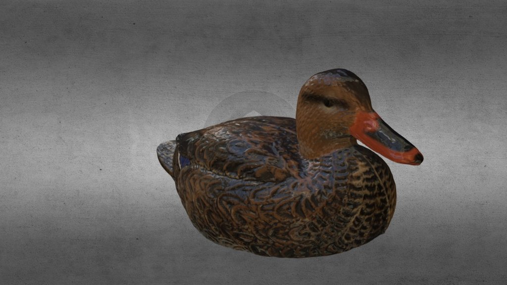 DUCK 01 3d model