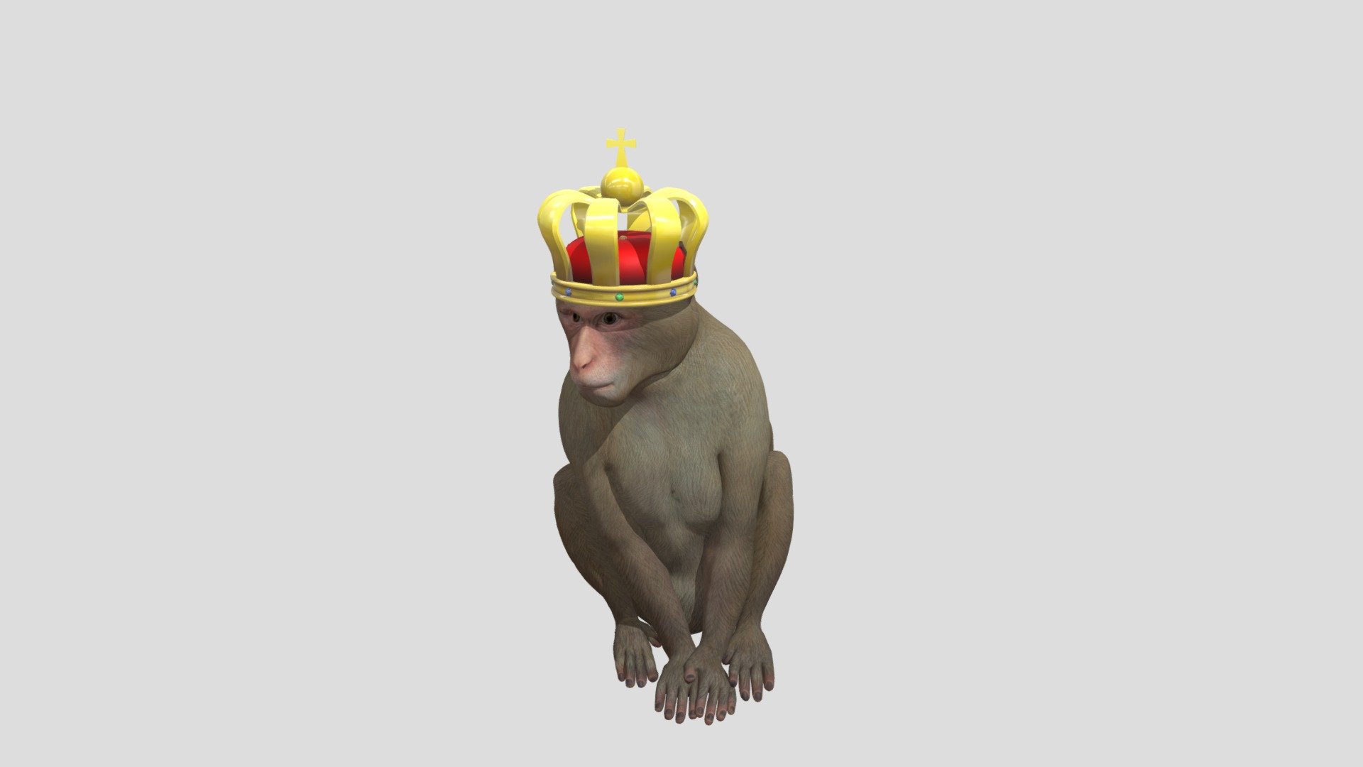 King Monkey 3d model