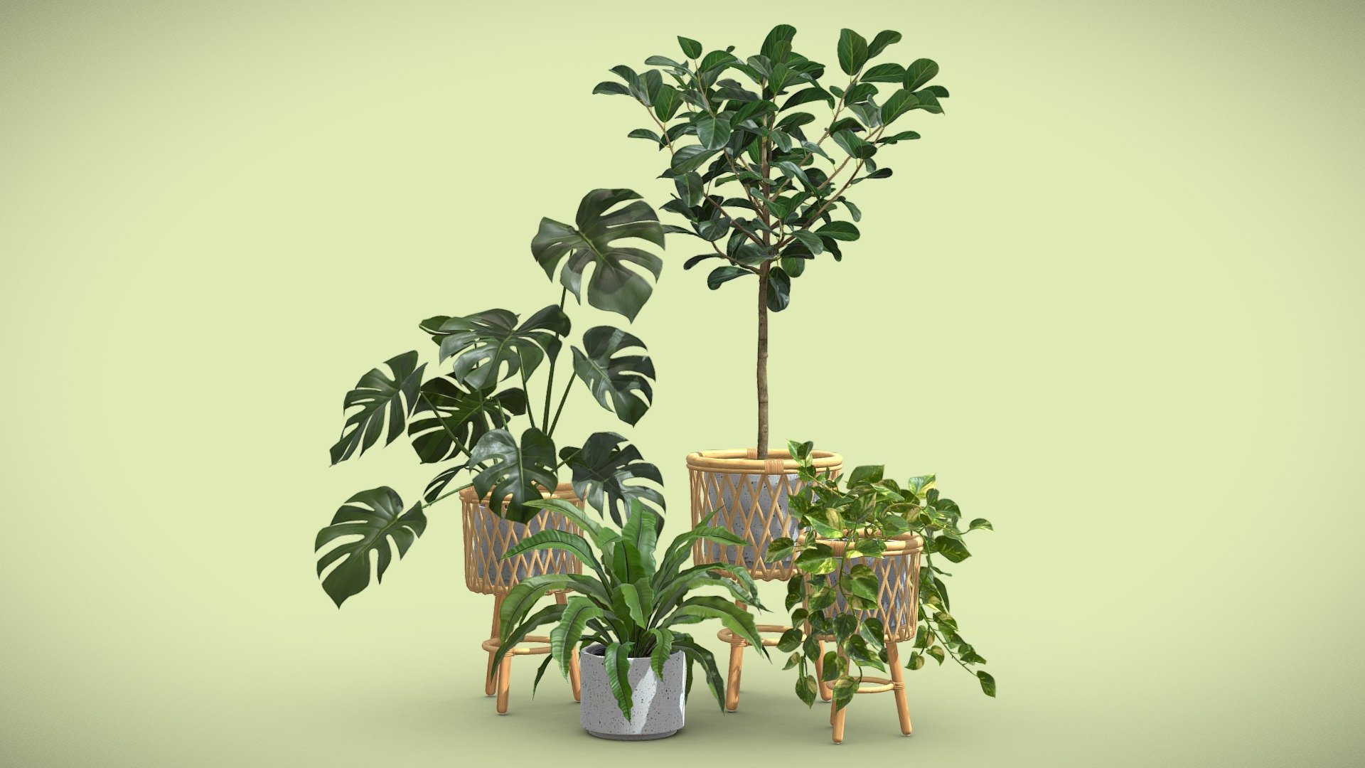 Indoor Plants Pack 57 3d model