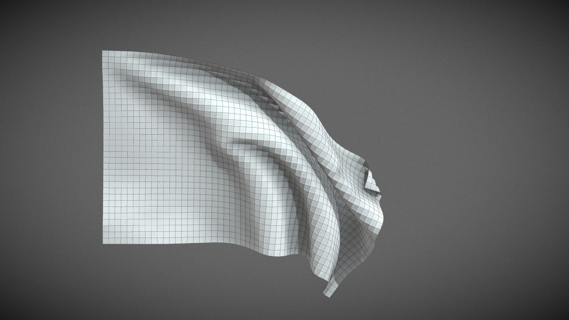 Flag Geometry Cloth Simulation Perfect Loop 3d model