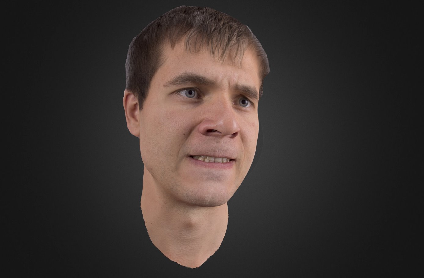 Janis_Disgust_1 3d model