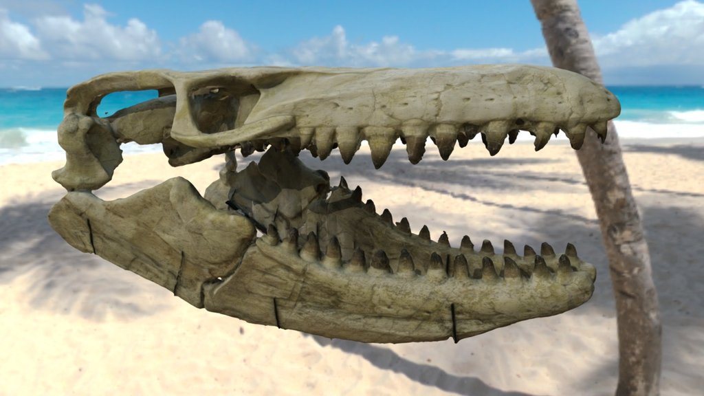 Mosasauro 3d model