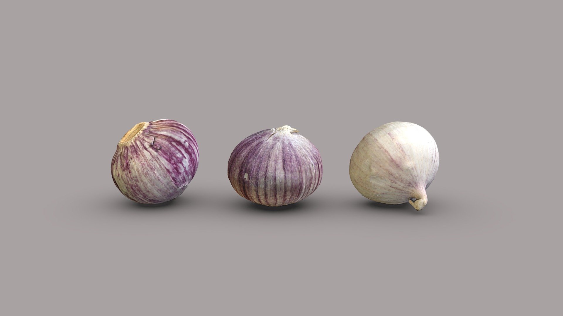 Solo garlics 3d model