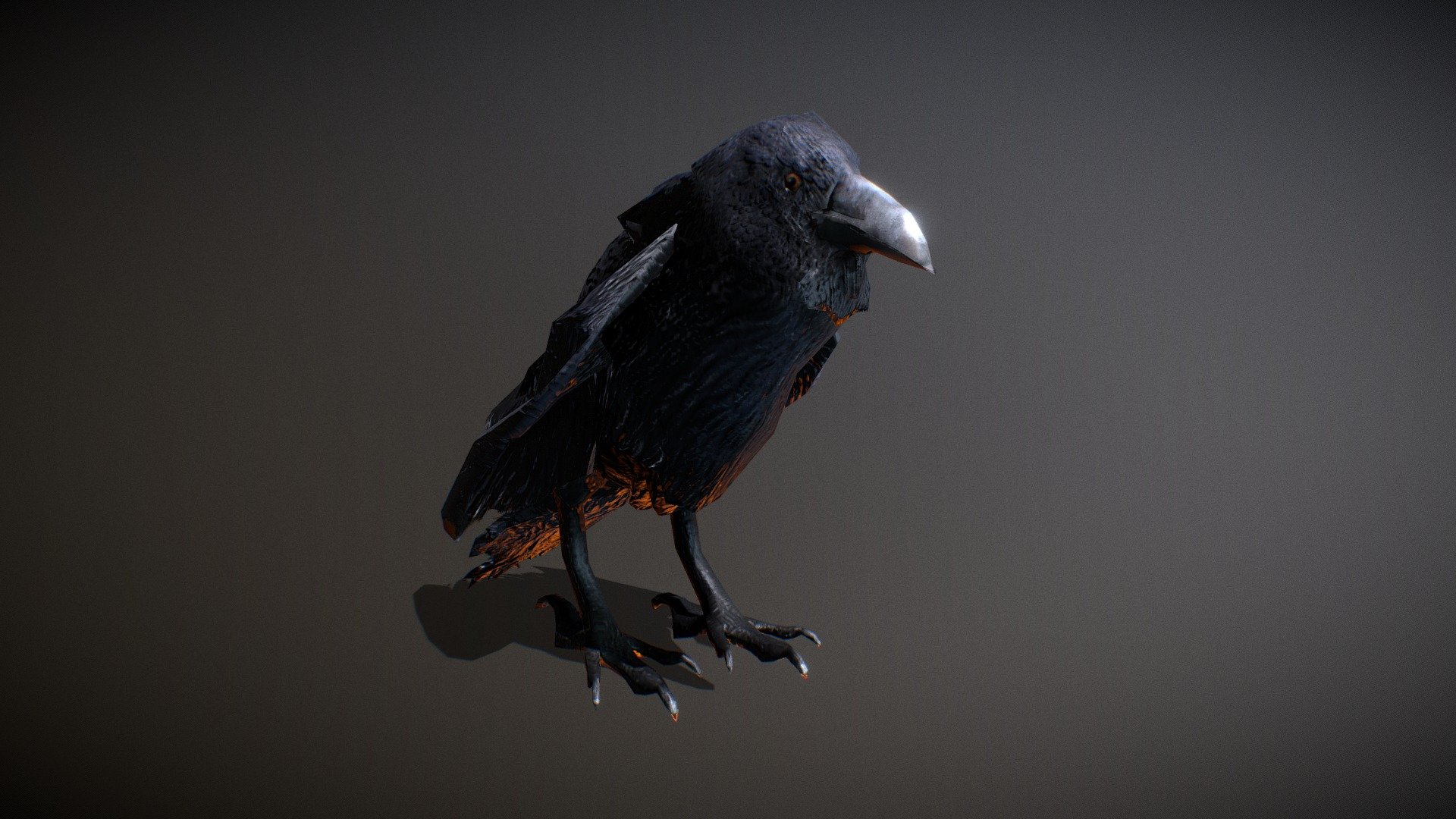 Raven 3d model