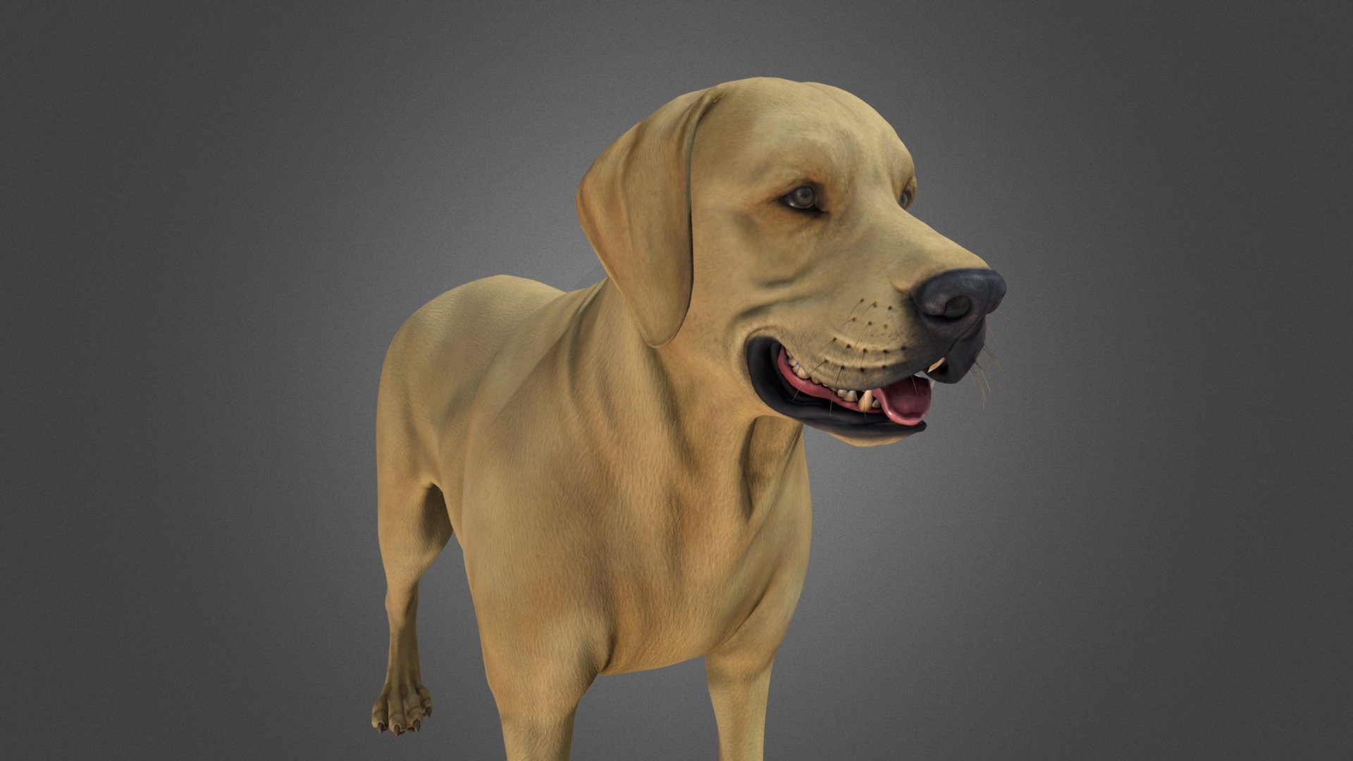 high detailed dog 3d model