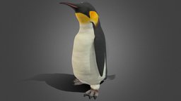 Penguin Rigged and animated