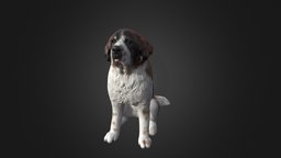 Custom made St. Bernard figurine