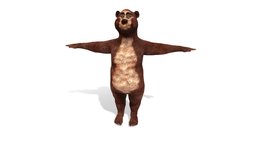 bear ( Rigged & Blendshapes )