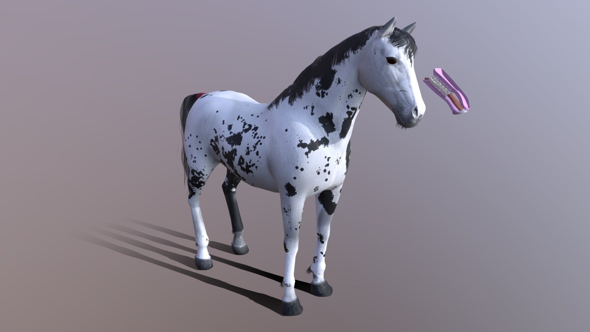 Apaloosa Black 3d model