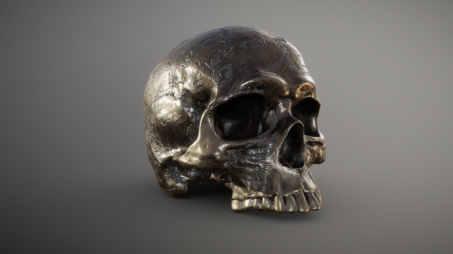 Old Treasure Skull 3d model