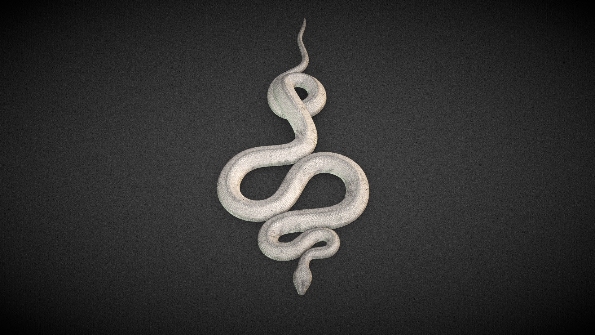 White Snake 3d model