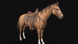 Wild West Horse Model