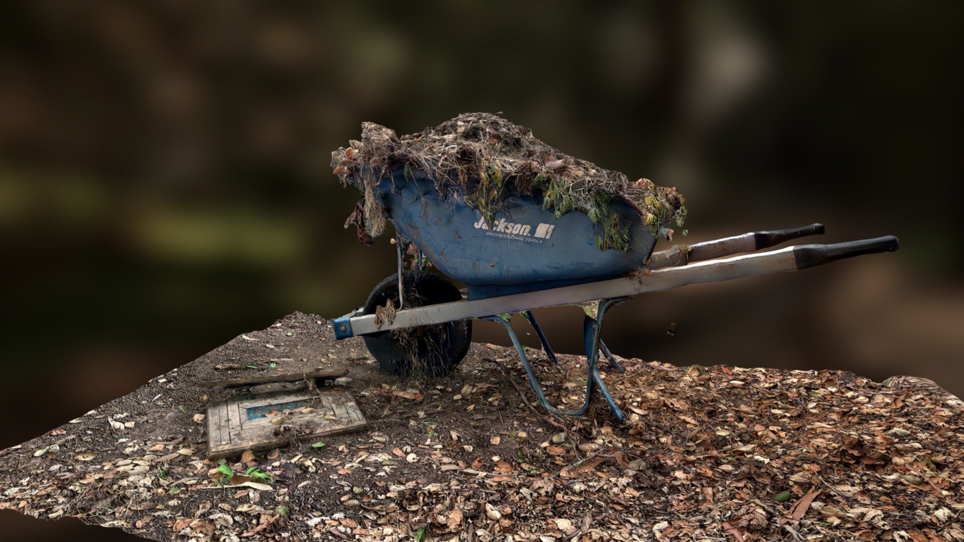 Fall Wheelbarrow Scan RAW 3d model