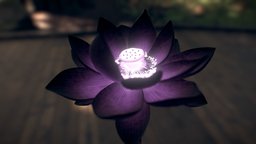 Black Lotus