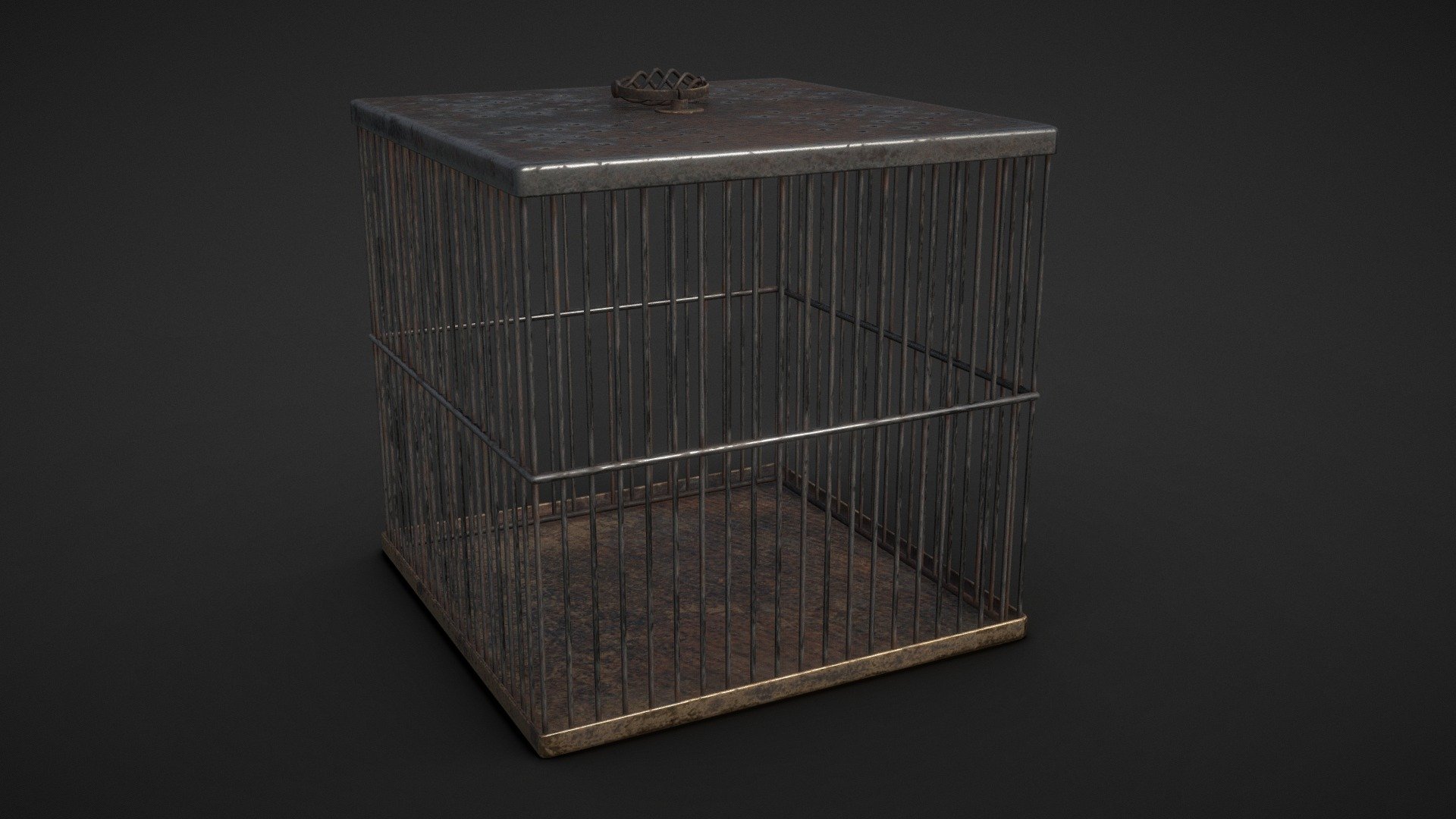 Square Rat Cage 3d model