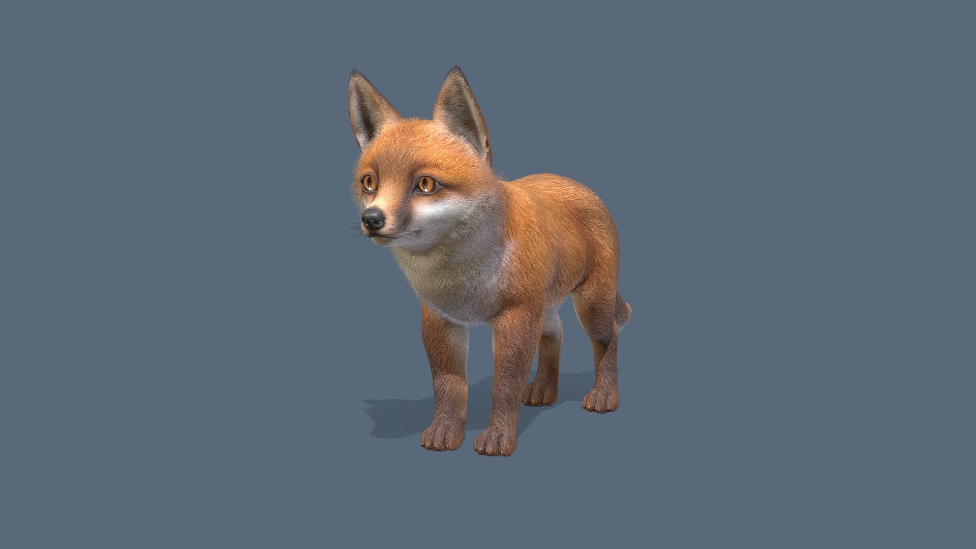 Fox 3d model