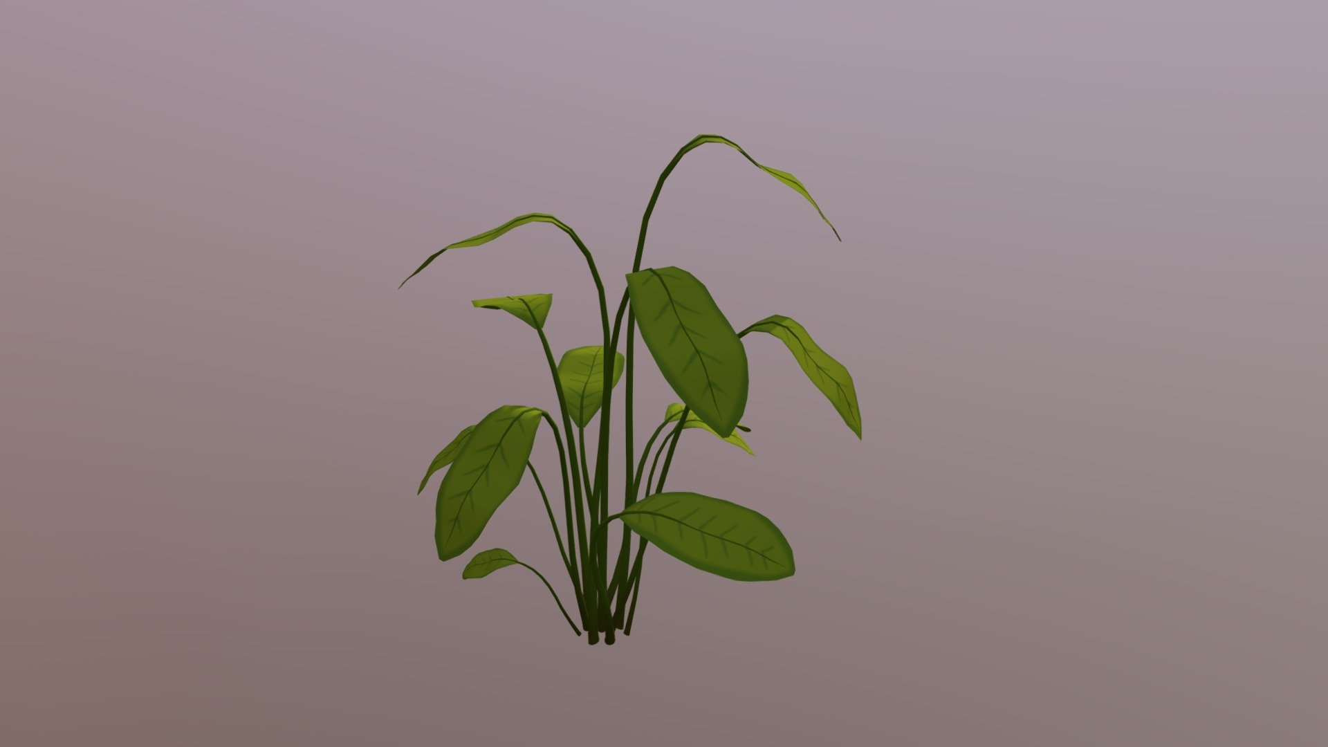 Plant Fern 3d model