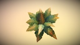 Fern Low Poly 01