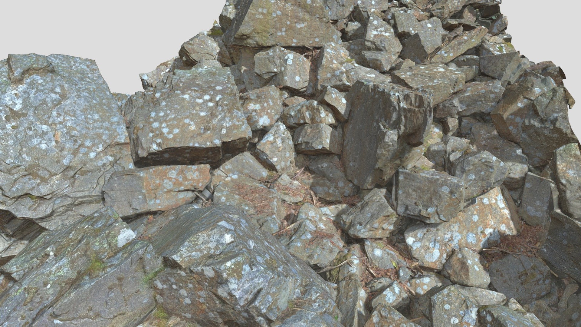 Sharp Rock Pile Scan 3d model