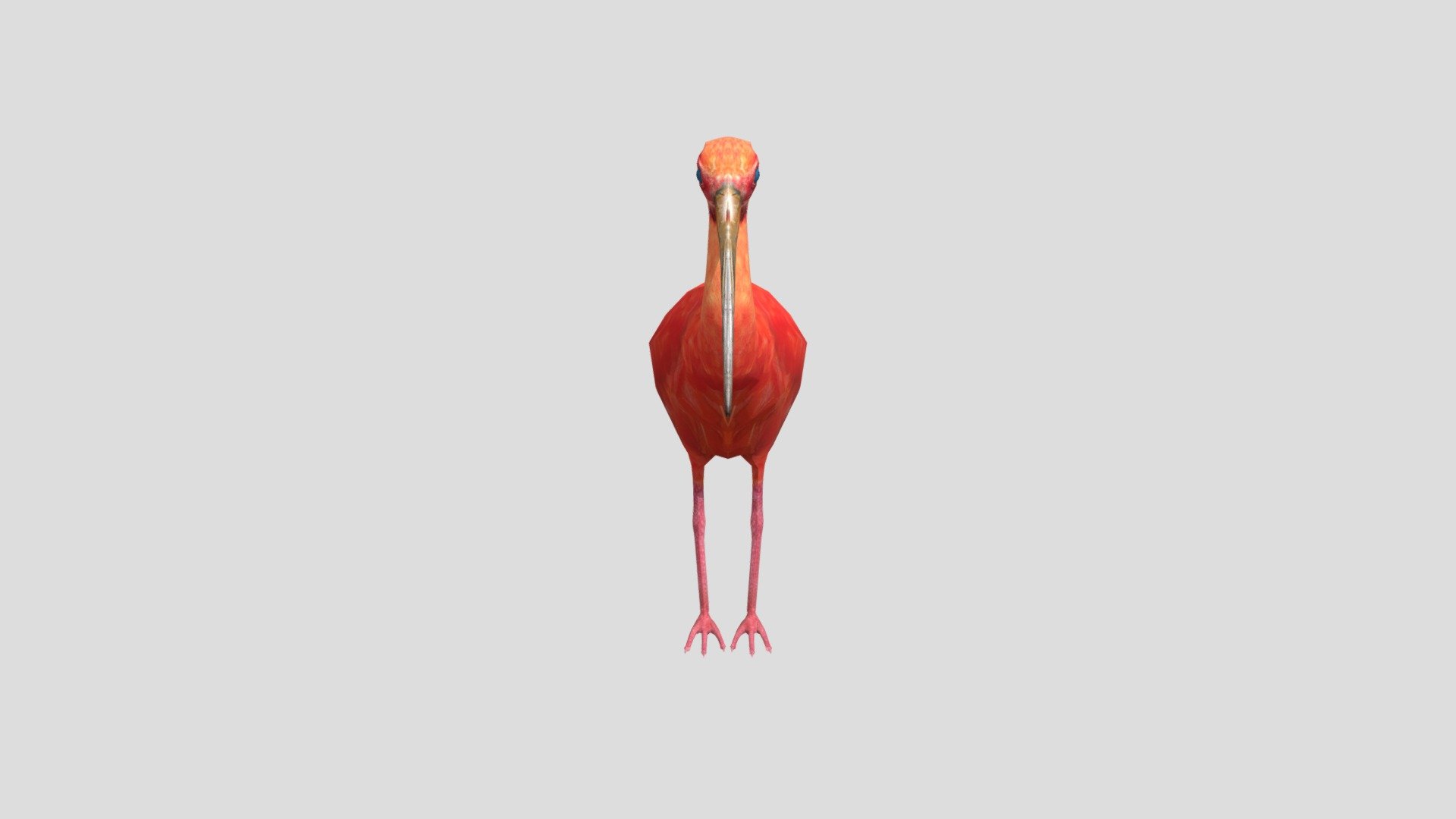 pajaro 3d model