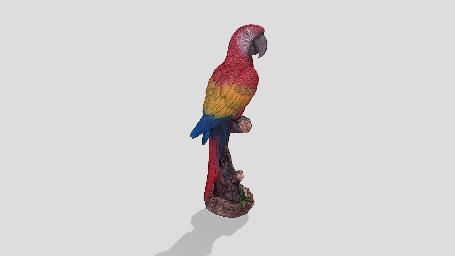 parrot 3d model