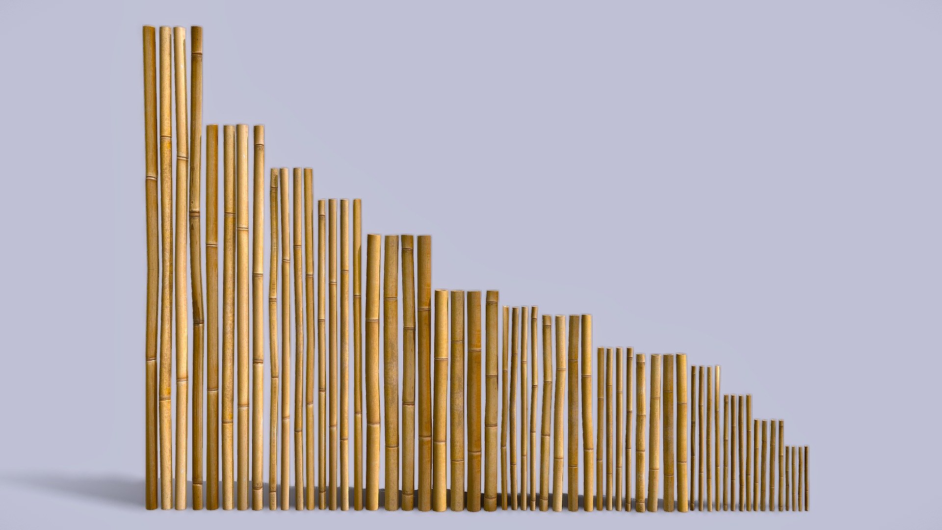 Bamboo Sticks Pack 3d model