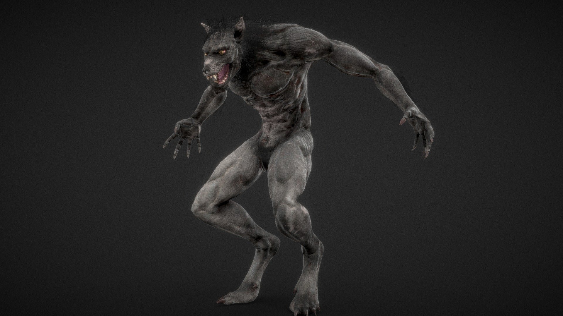 Howling 3d model