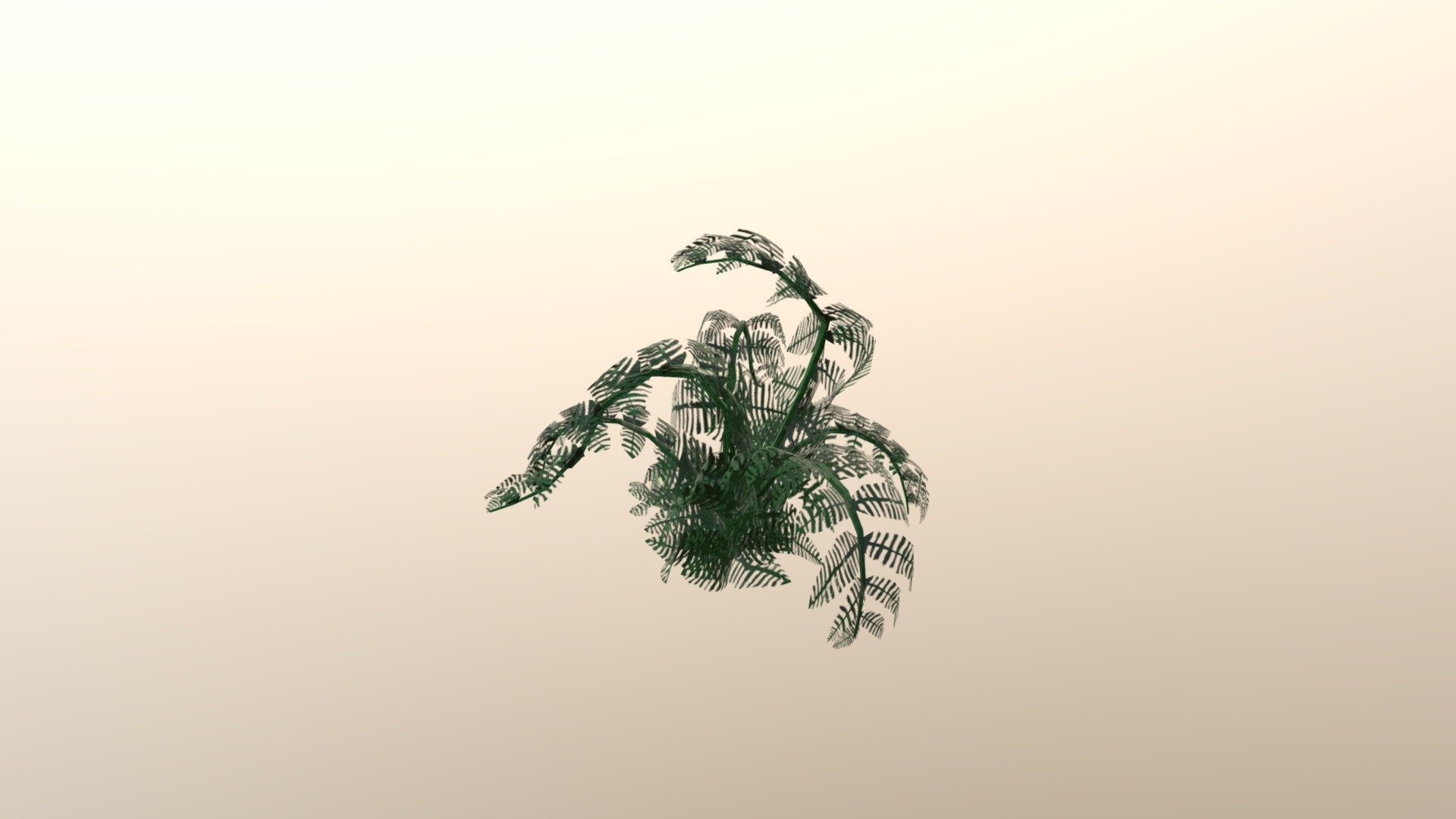 fern 3d model