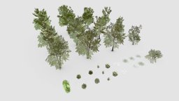 Shapespark low poly exterior plants kit