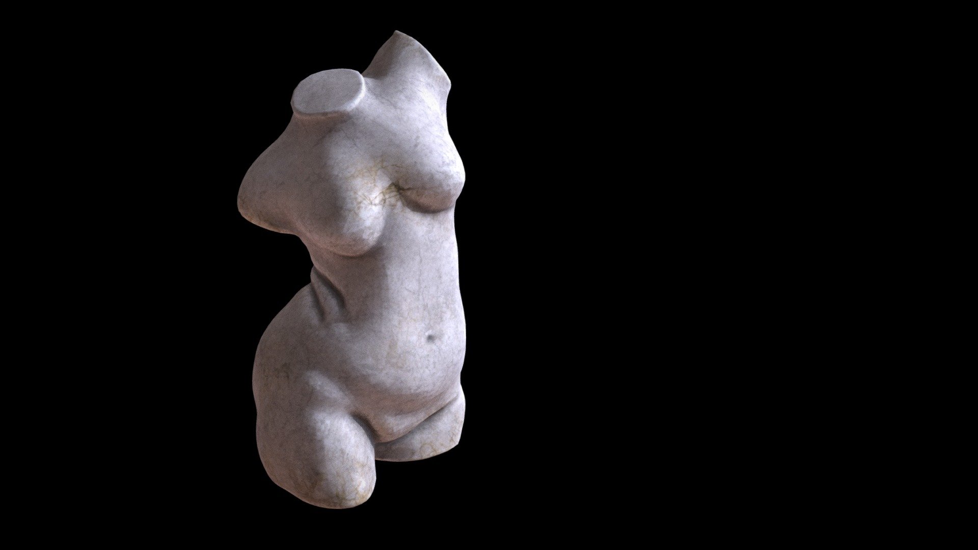 Torso 3d model