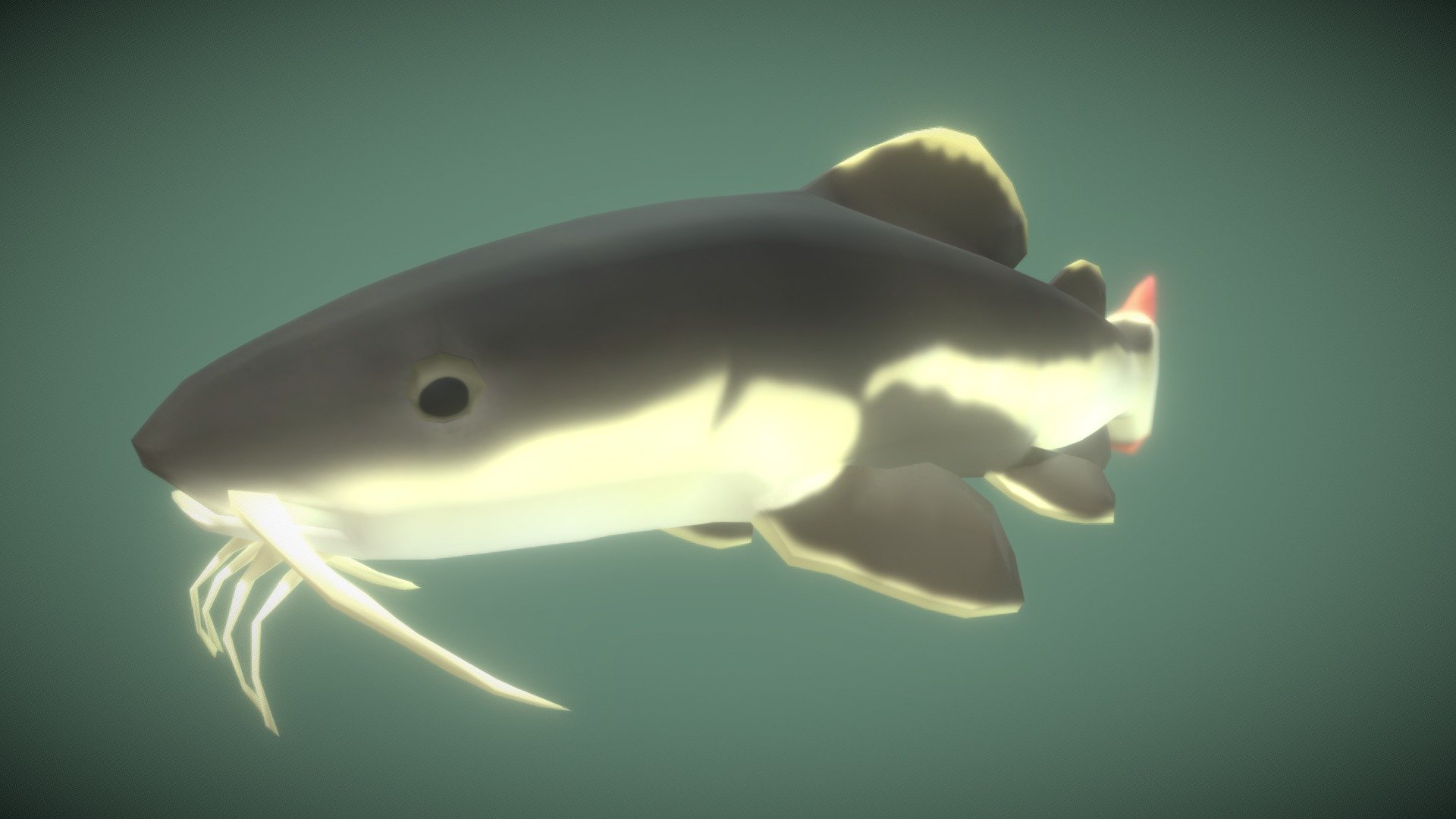 Juvenile Redtail Catfish 3d model