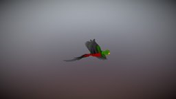 Quetzal-2013mr07