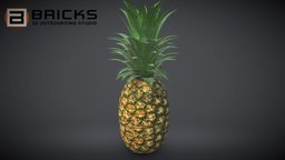 Pineapple