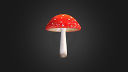 Mushroom Amanita