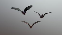 Bat