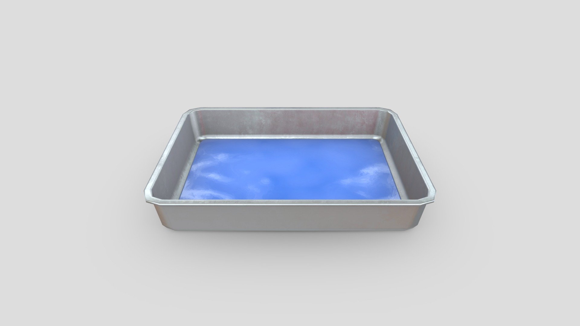 Dissection Tray 3d model