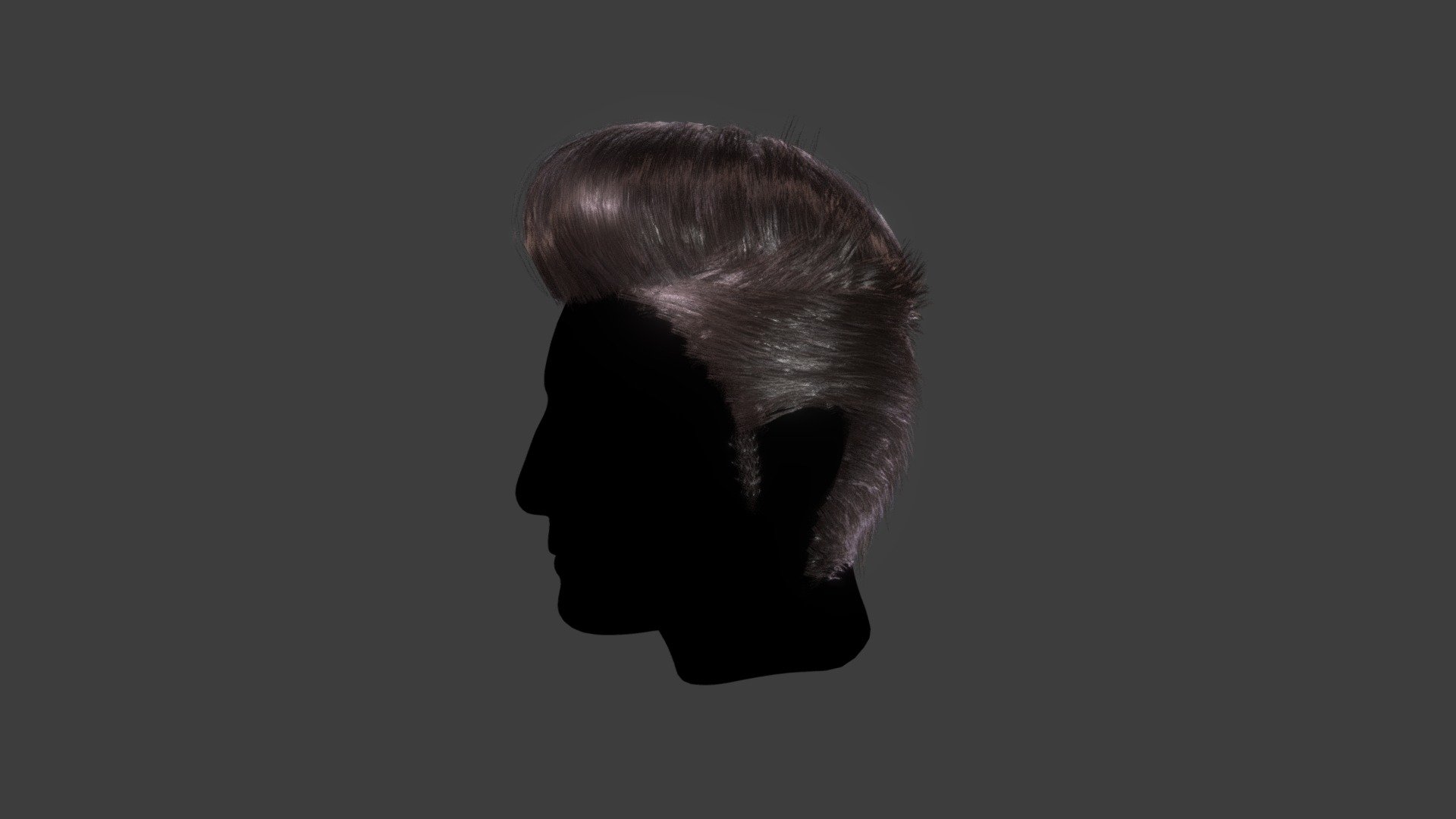 Pompadour Hairstyle 3d model