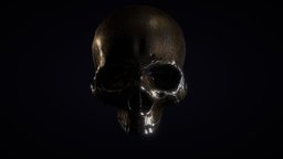 Metal Skull