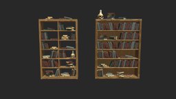 Stylized alchemist shelves with books and skull