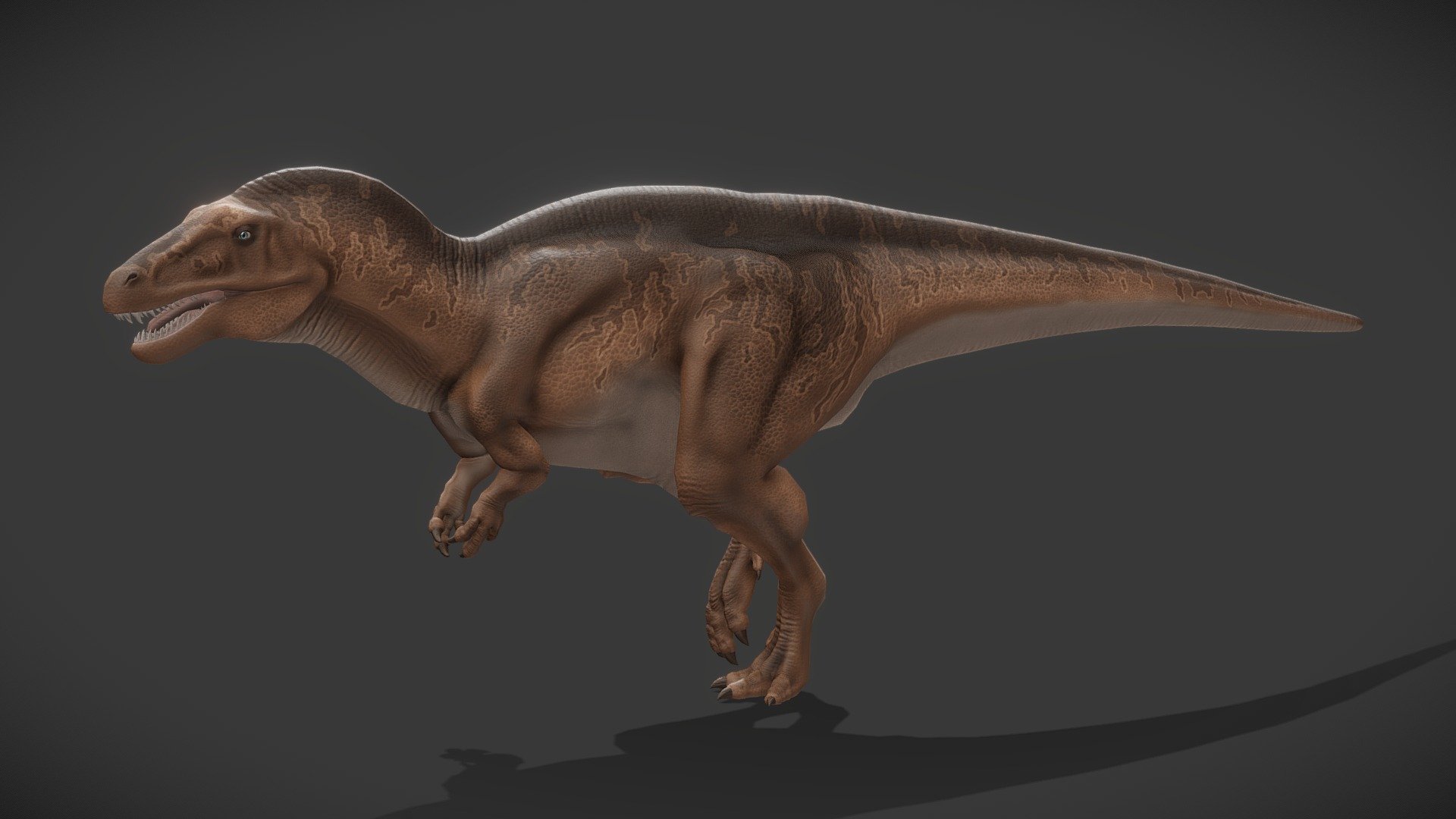 Acrocanthosaurus Atokensis 3d model