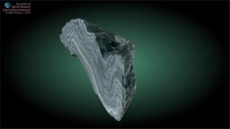 Folded phyllite