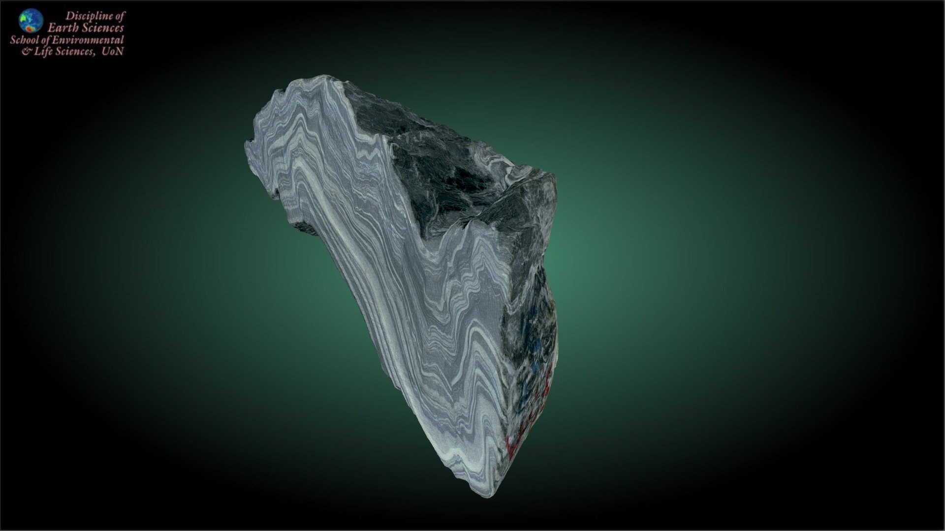 Folded phyllite 3d model