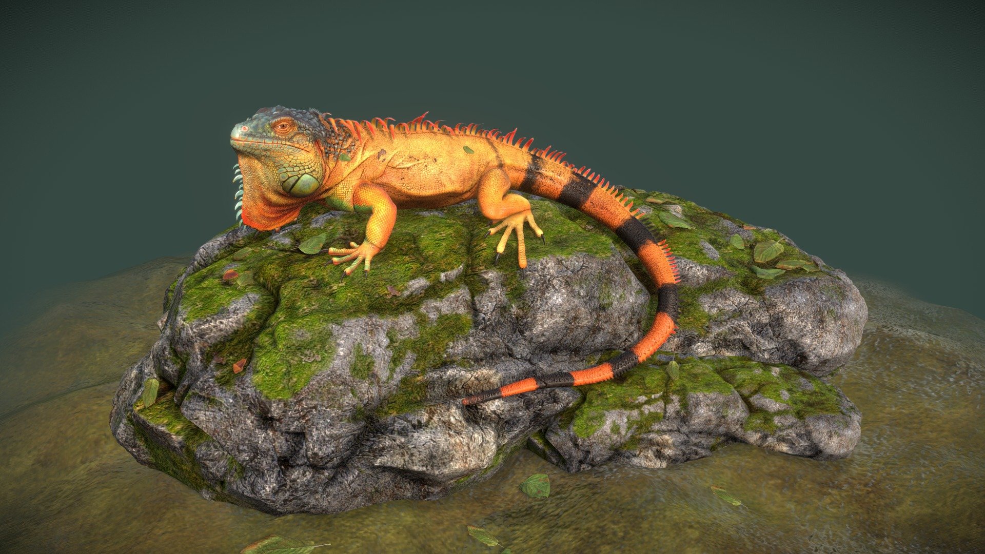 lizard 3d model